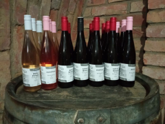 Vinný sklep v sousedních Bořeticích